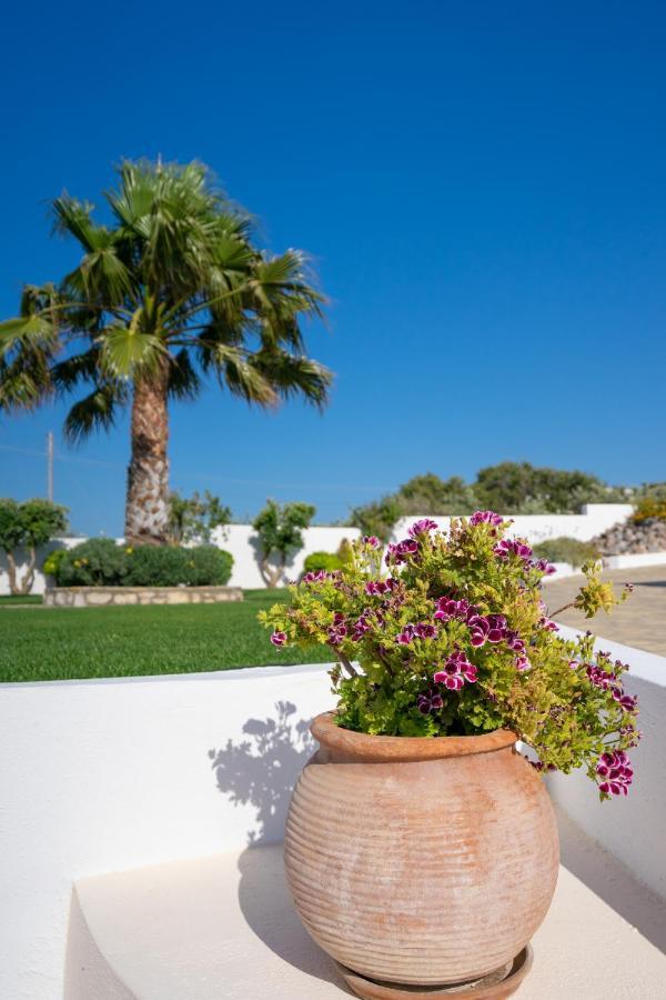 Georgia'S Apartments Kouremenos Beach Anevato 외부 사진
